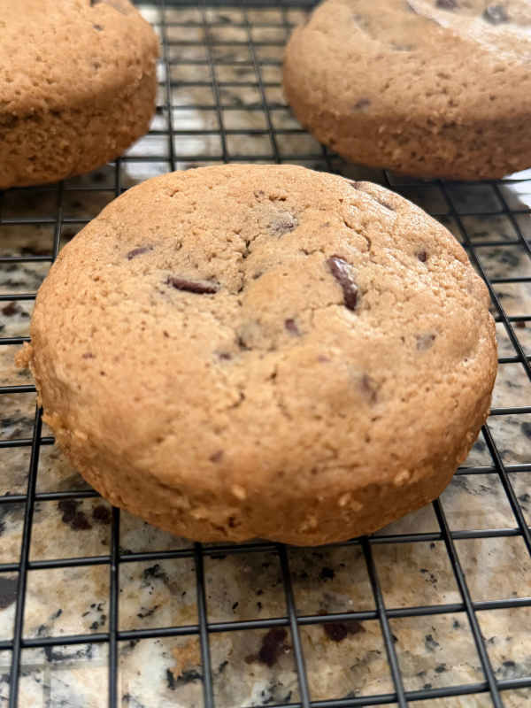 Sourdough Chocolate Chip Cookie